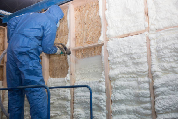 Best Spray Foam Insulation  in USA